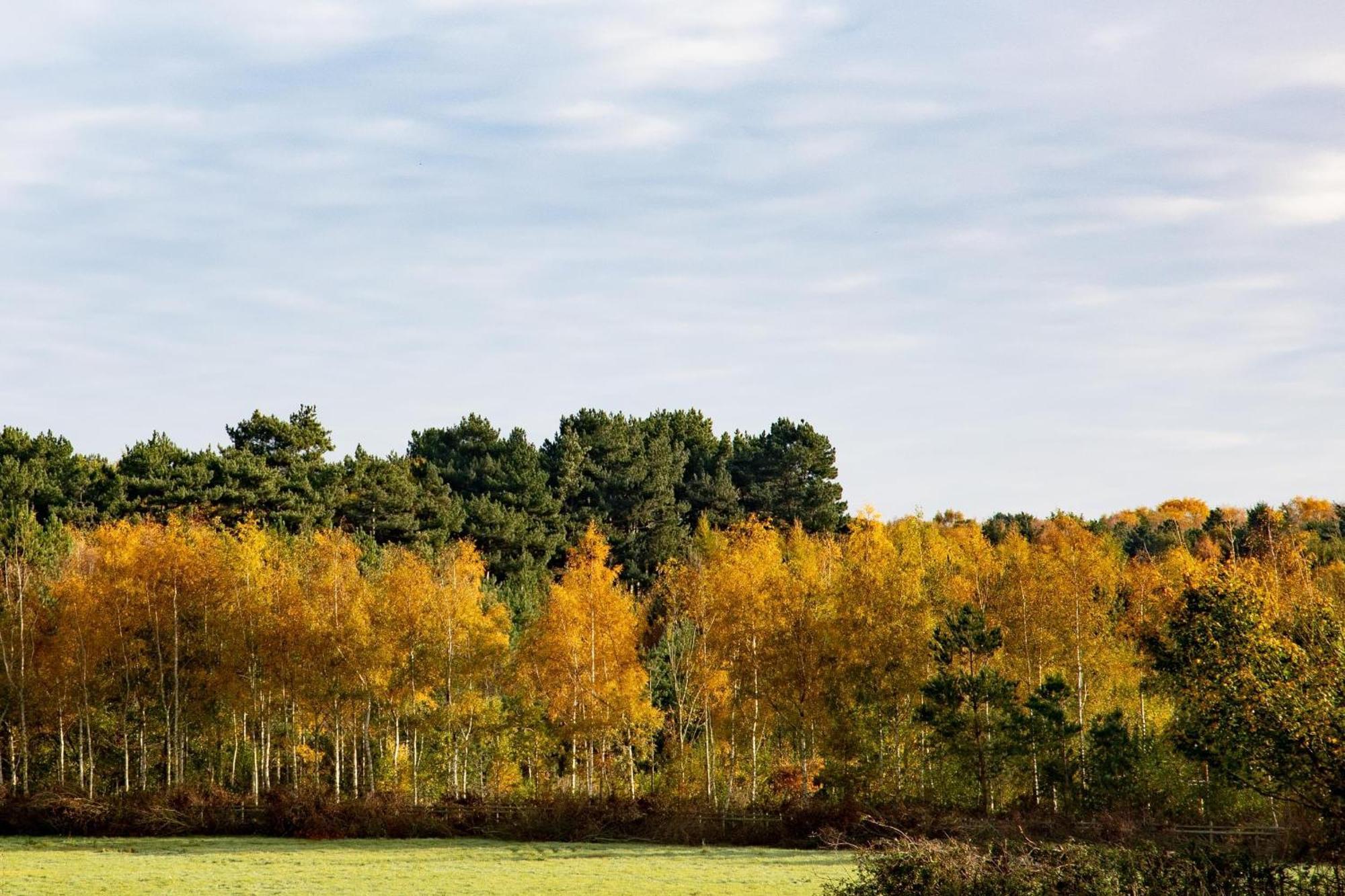 Crowne Plaza East Midlands Airport By Ihg Hotel Derby Buitenkant foto